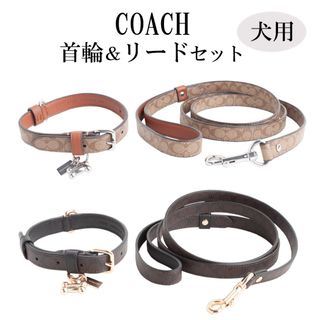 COACH(犬)のフリマアイテム一覧 COACH(犬)のフリマアイテム一覧