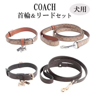 コーチ(COACH)のコーチ COACH 首輪 リード 2点セット 小型犬 ch144ch155(犬)