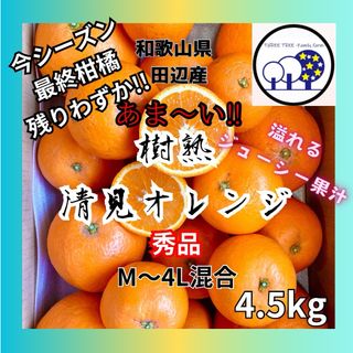 ③和歌山県田辺産 清見オレンジ きよみ 清美 柑橘 蜜柑 みかん4.5kg(フルーツ)