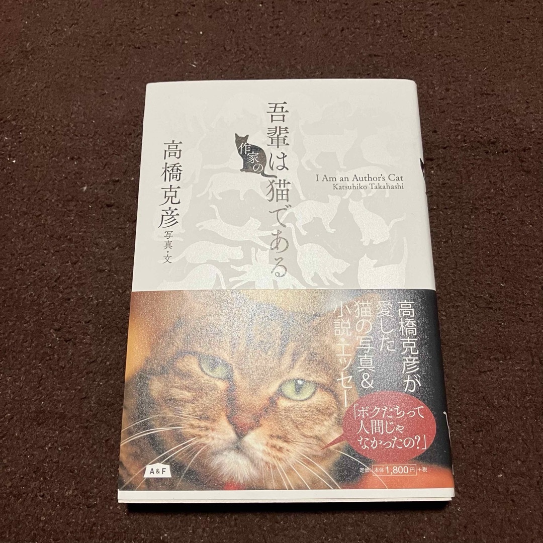 吾輩は作家の猫である 高橋克彦 A&F 猫写真 小説 エッセー エンタメ/ホビーの本(文学/小説)の商品写真