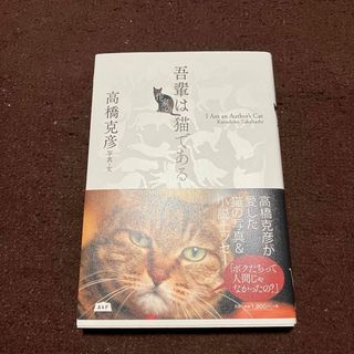 吾輩は作家の猫である 高橋克彦 A&F 猫写真 小説 エッセー(文学/小説)