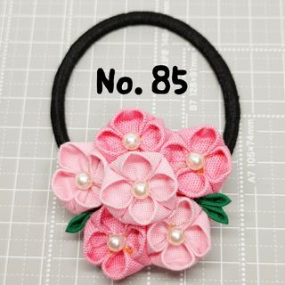 No.85　紫陽花　あじさい　アジサイ