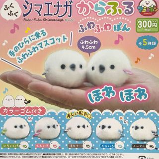 ふくふくシマエナガ からふるふわふわぽん 全5種セット(キャラクターグッズ)