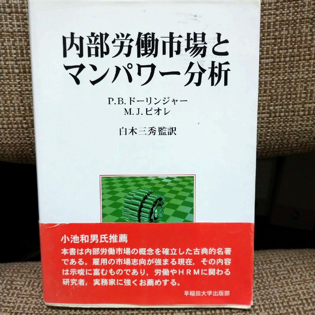 内部労働市場とマンパワ－分析 エンタメ/ホビーの本(人文/社会)の商品写真