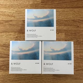 エヌオーガニック(N organic)の& WOLF UVセラムリキッドファンデーション UF-001 3個セット ②○(ファンデーション)