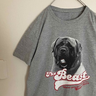 ティービーアンドムービー(TV&MOVIE)のサンドロット僕らがいた夏ムービーTシャツtシャツDOGドッグtee映画TEE犬(Tシャツ/カットソー(半袖/袖なし))