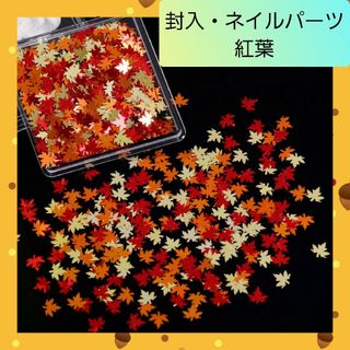 ネイルパーツ レジン 封入パーツ ーン もみじ 紅葉 楓 デコパーツ 01(デコパーツ)