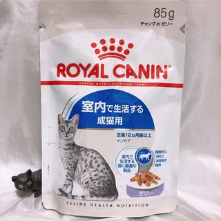 ロイヤルカナン(ROYAL CANIN)のロイヤルカナン　インドア　成猫　チャンクinゼリー　85g 19個(猫)