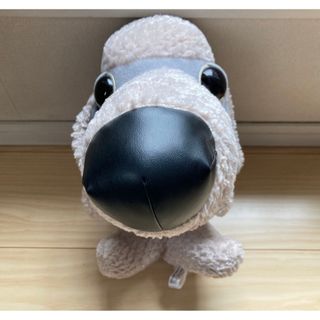 【未使用美品】The Dog ぬいぐるみ　プードル　非売品(ぬいぐるみ)