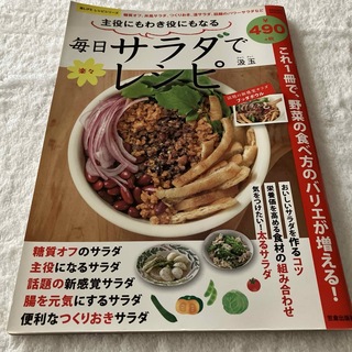 毎日サラダで楽々レシピ 料理本 レシピ本(料理/グルメ)