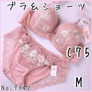 ブラジャーショーツセットC75    No.7342(ブラ&ショーツセット)