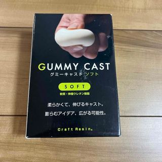 グミーキャスト　ソフト　食品サンプル　人体模型　クッション　パッキン　工芸品(その他)