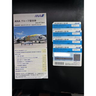 エーエヌエー(ゼンニッポンクウユ)(ANA(全日本空輸))のANA 株主優待券➕優待冊子　期限24年5月31日(その他)