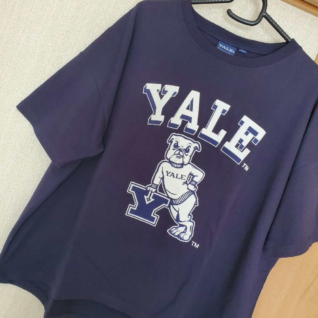 DEUXIEME CLASSE(ドゥーズィエムクラス)のおまとめ!YALE Tシャツ イエールTシャツ頚椎牽引枕 レディースのトップス(Tシャツ(半袖/袖なし))の商品写真