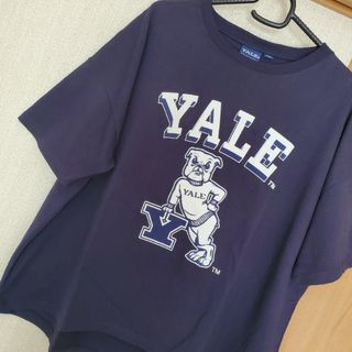 新品未使用 YALE Tシャツ イエールTシャツ