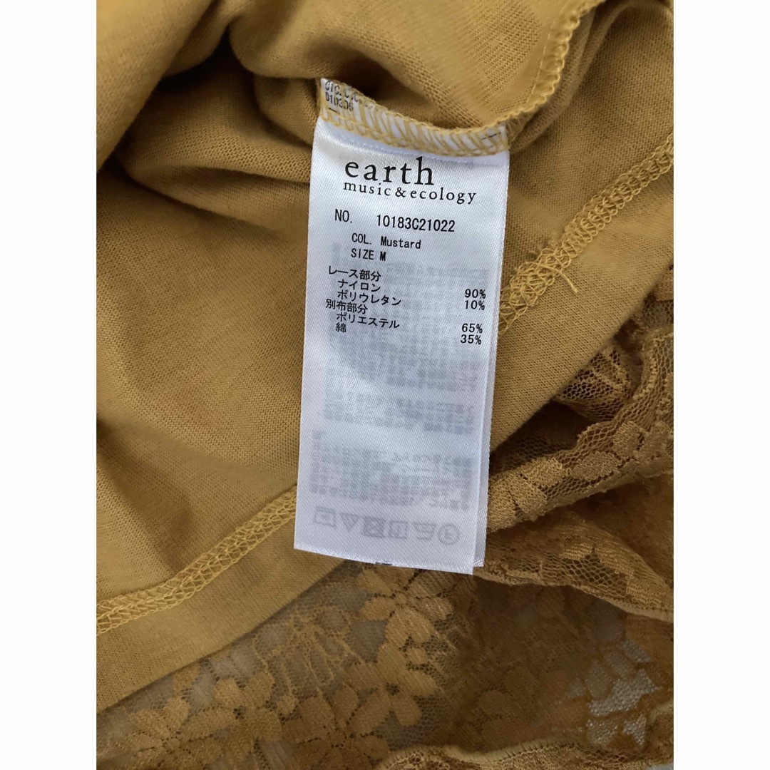 earth music & ecology(アースミュージックアンドエコロジー)のearth  premium label シースルートップス レディースのトップス(シャツ/ブラウス(半袖/袖なし))の商品写真