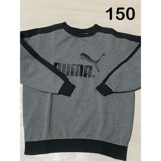 プーマ(PUMA)のPUMA トレーナー　150(Tシャツ/カットソー)