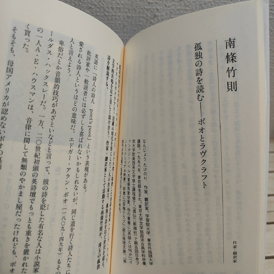 集英社(シュウエイシャ)の『 孤独のレッスン 』■ エンタメ/ホビーの本(ノンフィクション/教養)の商品写真