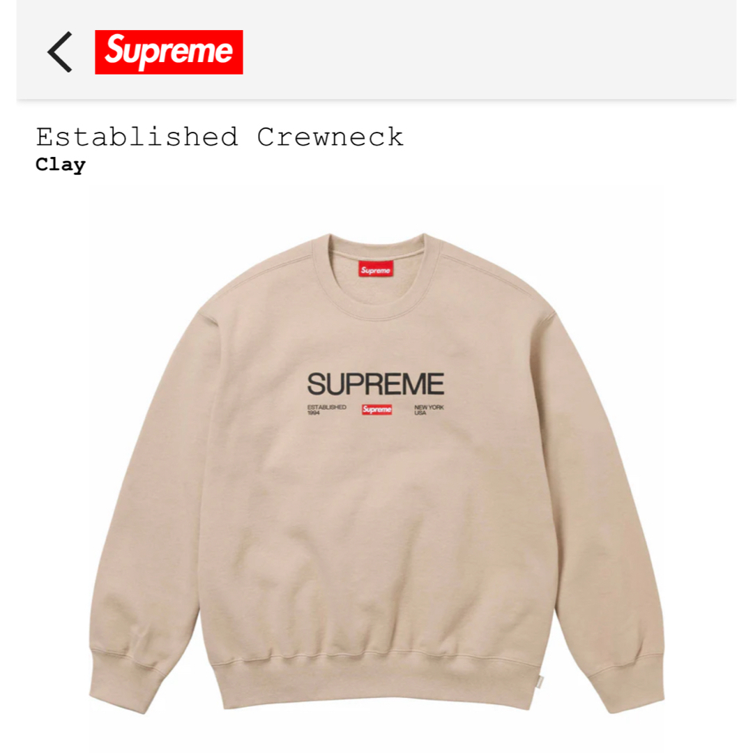 Supreme(シュプリーム)の新品Supreme Establish crewneck正規品 送料無料 メンズのトップス(パーカー)の商品写真