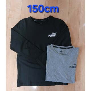 PUMA - PUMA プーマ キッズ ESS NO.1 ロゴ 長袖 Tシャツ 150 黒灰