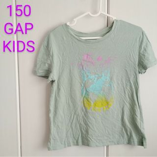 GAP Kids - 150(XL)◆GAPKIDS◆プリントTシャツ◆ヤシの木◆薄グリーン