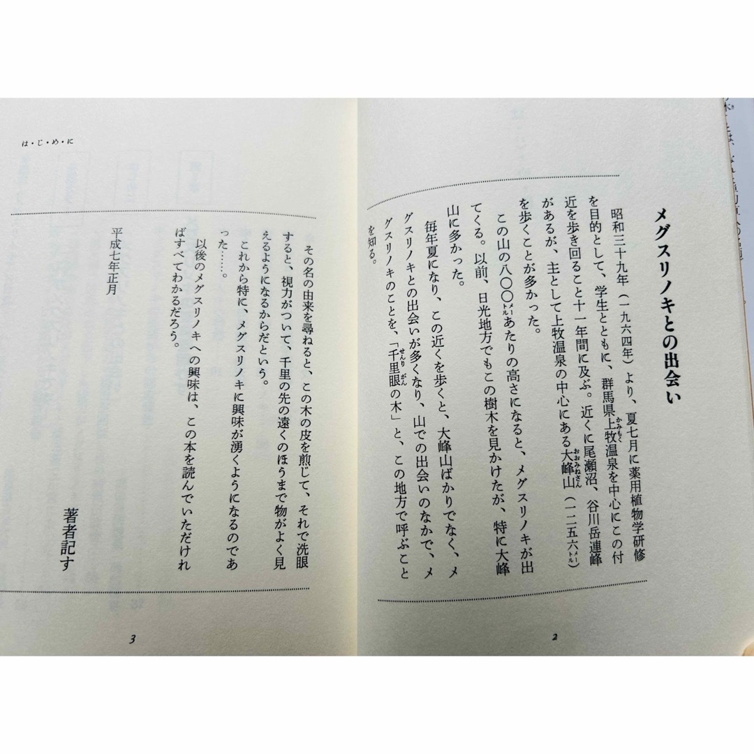 薬木「メグスリノキ」―目がよくなる！肝臓病が治る！　伊澤一男 エンタメ/ホビーの本(健康/医学)の商品写真