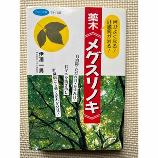 薬木「メグスリノキ」―目がよくなる！肝臓病が治る！　伊澤一男(健康/医学)