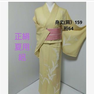 751　夏用正絹絽着物　訪問着　訳あり品(着物)