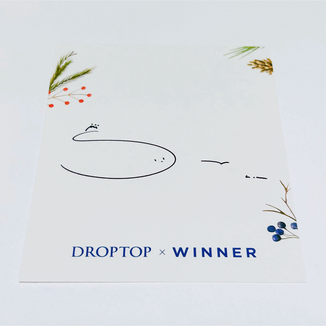 WINNER(ウィナー)のWINNER DROPTOP ポラロイド スンフン エンタメ/ホビーのタレントグッズ(アイドルグッズ)の商品写真