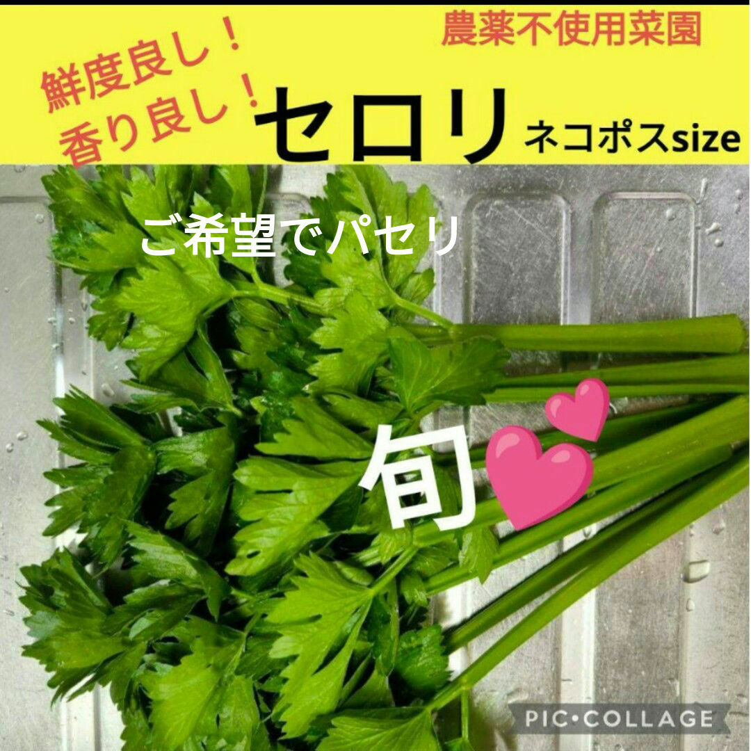 セロリ　150g 食品/飲料/酒の食品(野菜)の商品写真