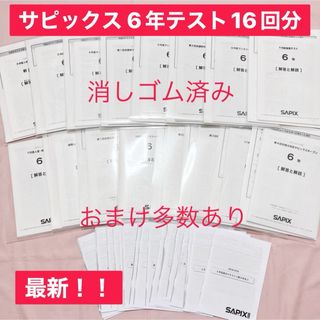 サピックス2024終了6年テスト全16回原本　消しゴム済み　多数資料付き(語学/参考書)