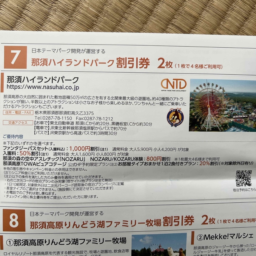 那須ハイランドパーク割引券1枚 日本テーマパーク開発 株主優待券 チケットの優待券/割引券(その他)の商品写真