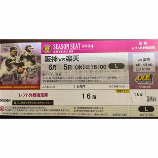 ハンシンタイガース(阪神タイガース)の6/5(水)阪神vs楽天 甲子園球場 レフトスタンド(野球)