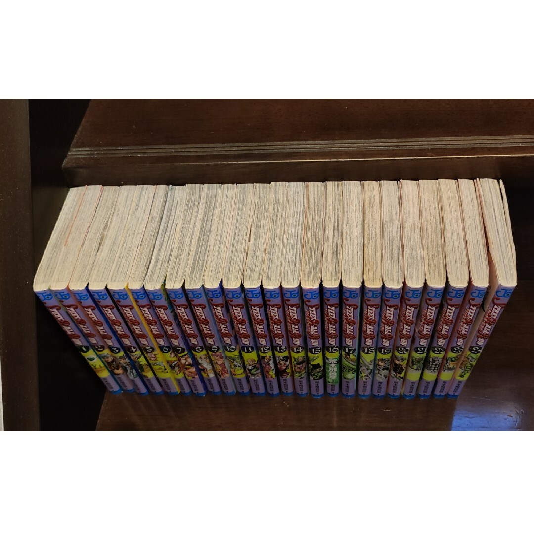 ジョジョの奇妙な冒険 スティール・ボール・ラン 全24巻セット エンタメ/ホビーの漫画(全巻セット)の商品写真