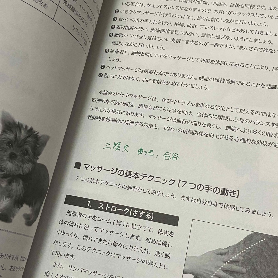 ペットマッサージ　アカデミックコース　テキスト　本　参考書　教科書　犬　猫　勉強 エンタメ/ホビーの本(資格/検定)の商品写真