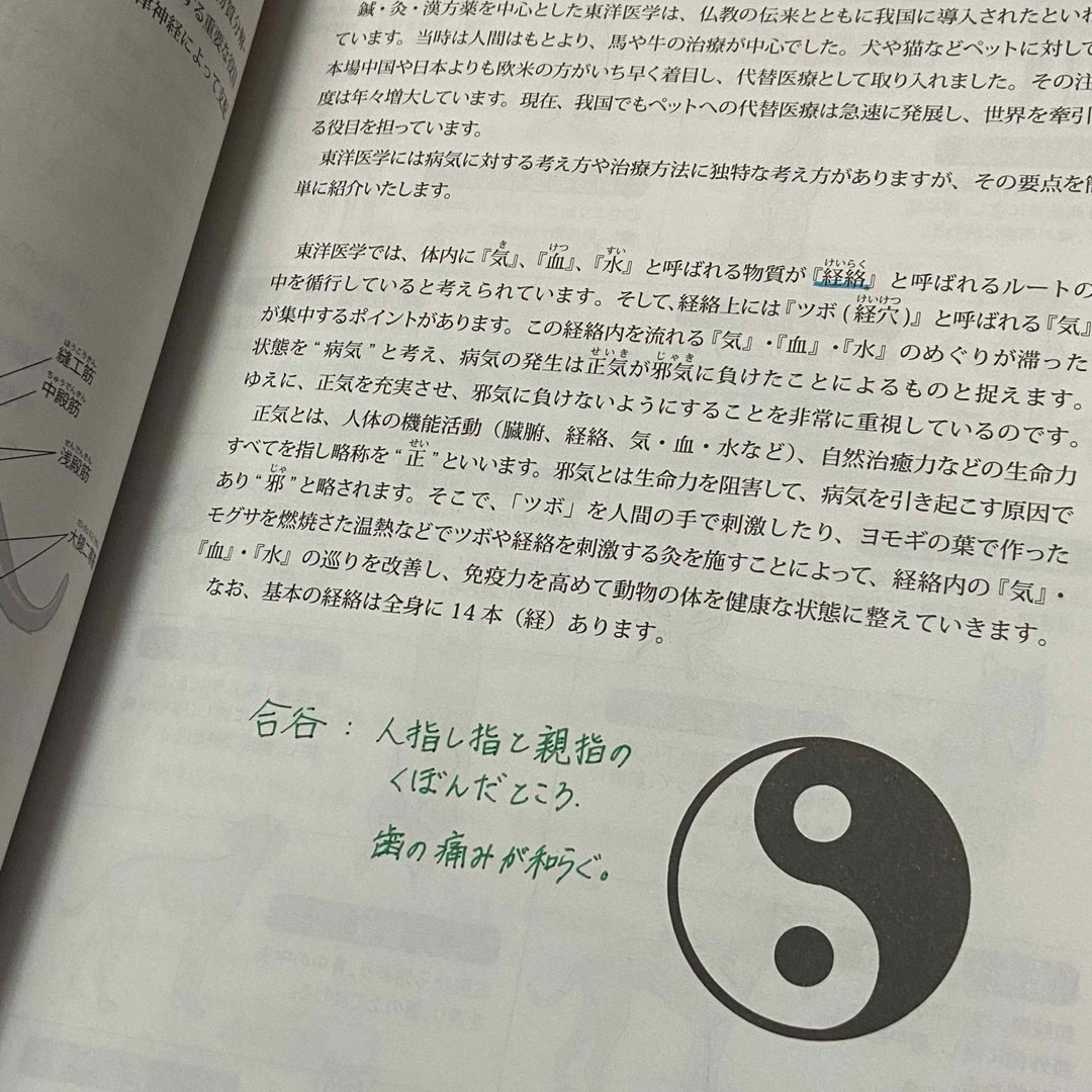 ペットマッサージ　アカデミックコース　テキスト　本　参考書　教科書　犬　猫　勉強 エンタメ/ホビーの本(資格/検定)の商品写真