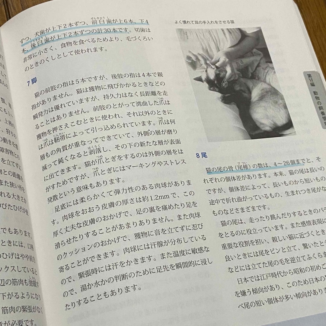 愛玩動物飼養管理士　2級　第1巻　第2巻 スクーリング　講習会資料　平成28年度 エンタメ/ホビーの本(資格/検定)の商品写真