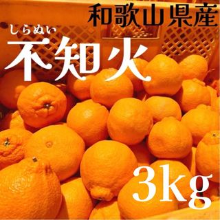 農家さん直送！間も無く完売です！和歌山県産　不知火　デコポン　約3kg(フルーツ)