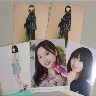 ノギザカフォーティーシックス(乃木坂46)の北川悠理 乃木坂46 生写真 5枚セット(アイドルグッズ)