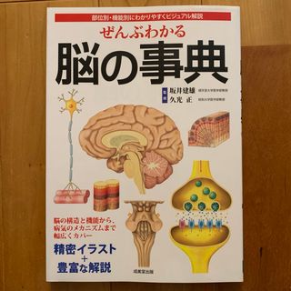 ぜんぶわかる脳の事典(健康/医学)