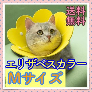 Mサイズ エリザベスカラー お花 イエロー フェルト素材 2段階調整可能 犬 猫(猫)