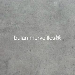 bulan merveilles様専用(その他)