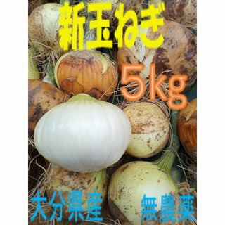 大分県産 新玉ねぎ ソニック ５kg(野菜)