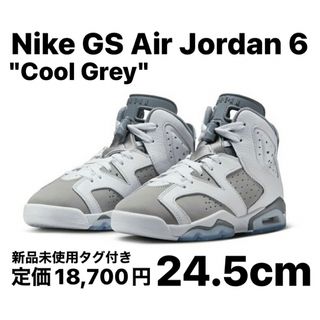 ナイキ(NIKE)のNike GS Air Jordan 6 "Cool Grey" 24.5cm(スニーカー)