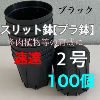 【スリット鉢】プラ鉢直径6cm 2号　100個セット【新品】ブラック(プランター)