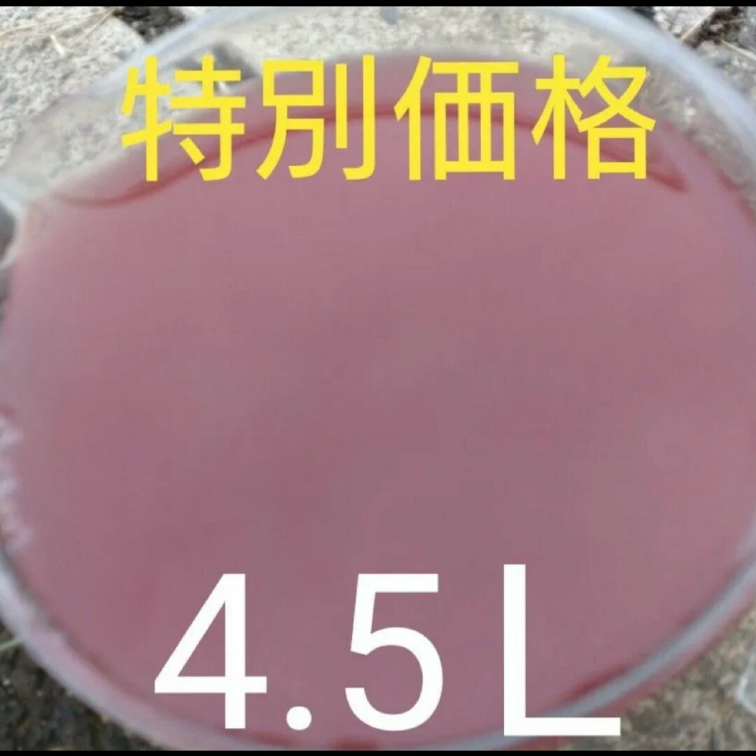 激安。濃厚　PSB(光合成細菌)　1.5L×3本 4.5L。メダカ　めだか　金魚 その他のペット用品(その他)の商品写真