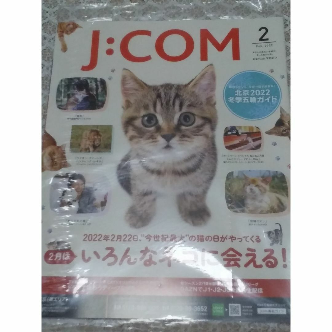 J：COMマガジン  2022年　２月　 エンタメ/ホビーの雑誌(ニュース/総合)の商品写真