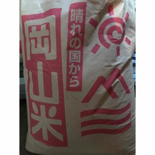 夜雨様　専用(米/穀物)