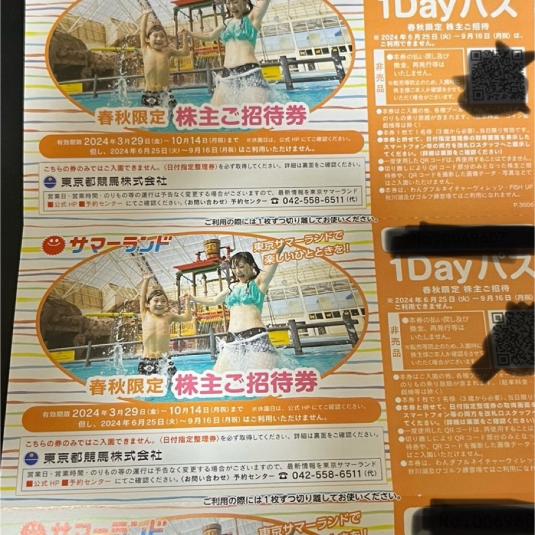 【goodluckさん専用】サマーランド　優待券　3枚 チケットの施設利用券(プール)の商品写真