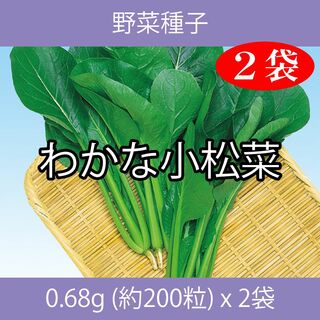 野菜種子 EBS わかな小松菜 0.68g(約200粒) x 2袋(野菜)